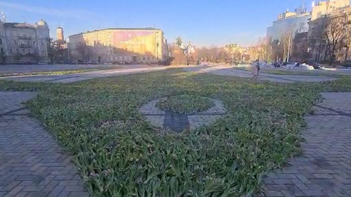 Korespondent Novinek: Kyjevské náměstí zaplnilo 1,5 milionu tulipánů